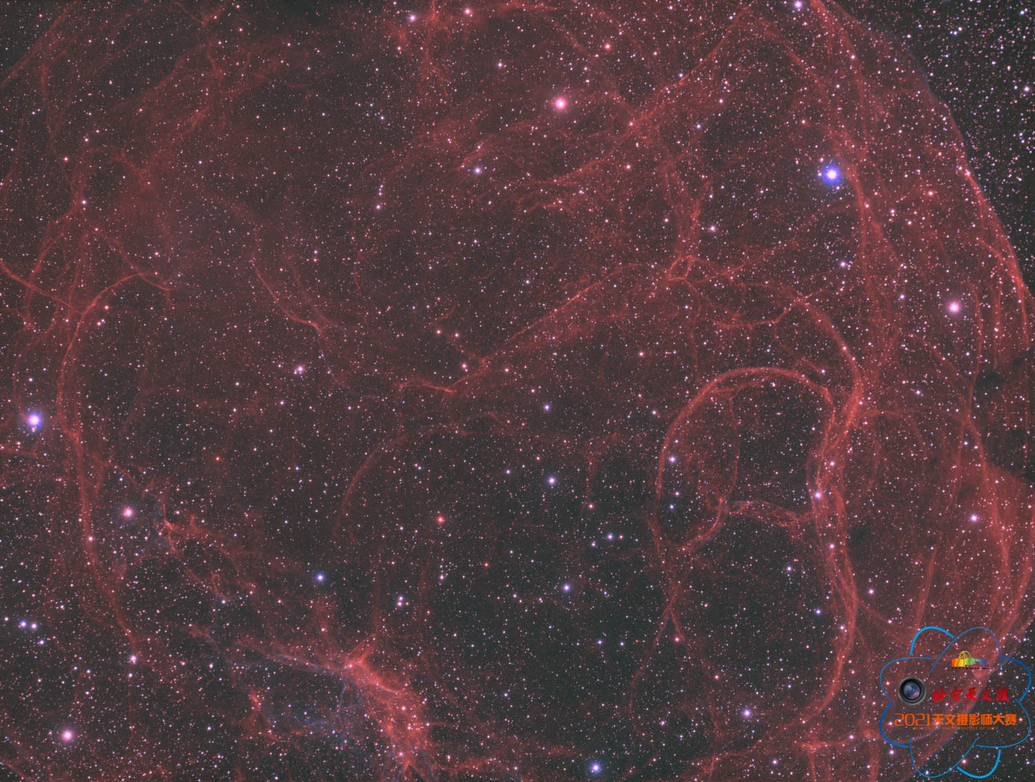 圖9  SH2-240-意大利面星云（作者：張益嘉；參賽主題：神秘的宇宙深處）.jpg