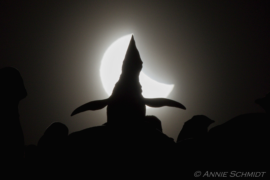 待譯-APOD20220107-eclipse_EV1024.jpg