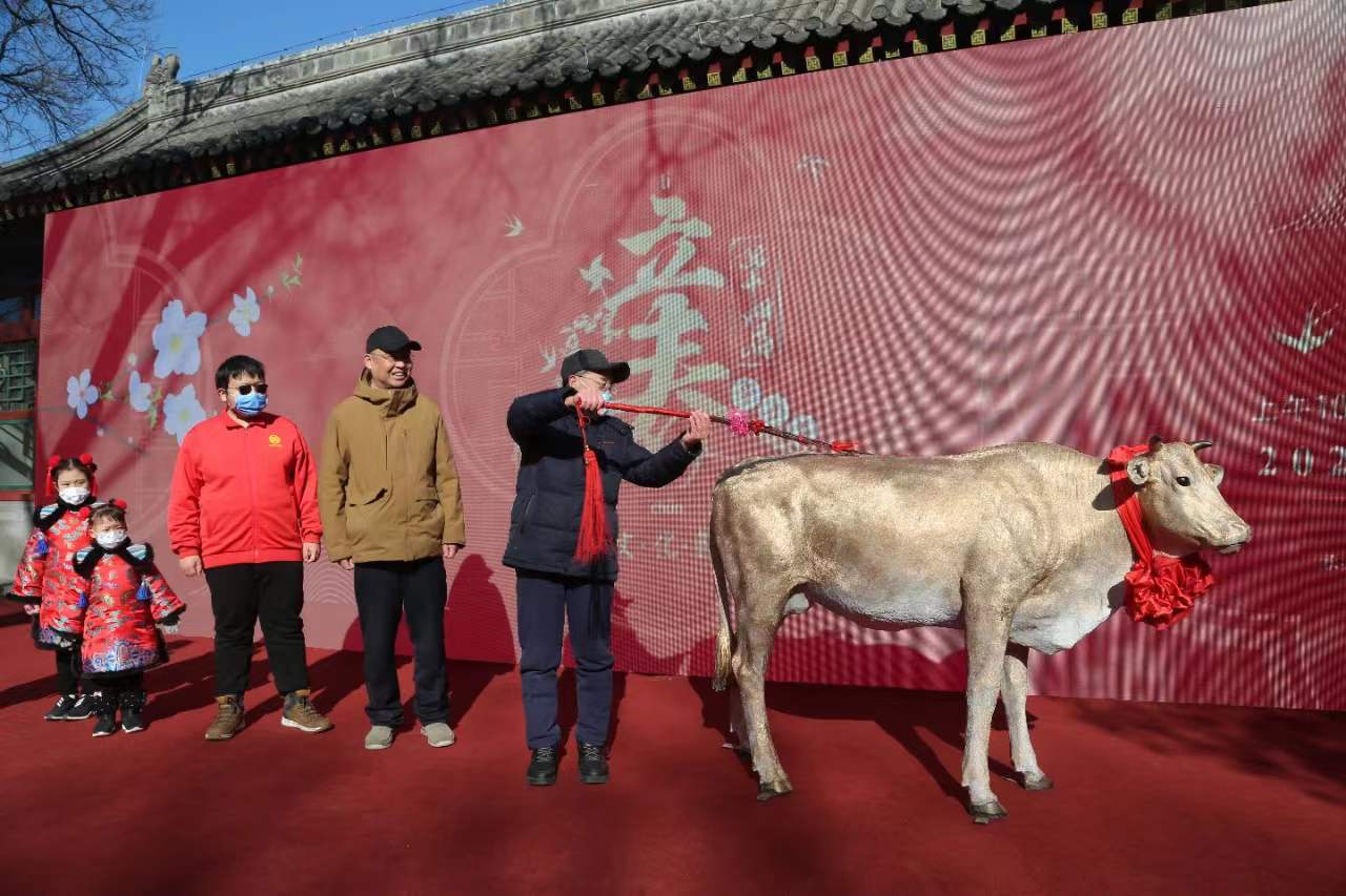 6立春文化節(jié)配圖.jpg