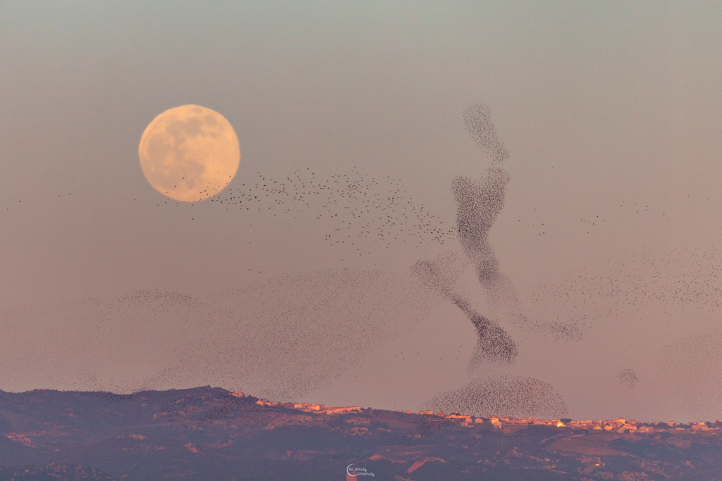 待譯-APOD20220122-IMG_4039copia2_1024.jpg