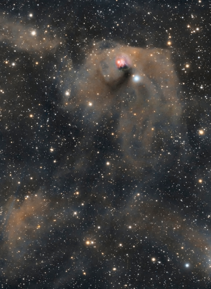 待譯-APOD20220210-NGC1555texas2021_1094.jpg