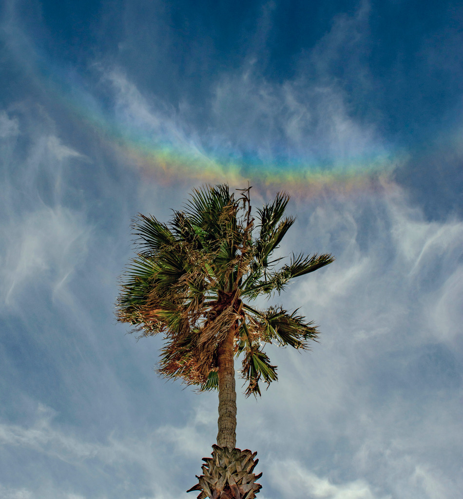 待譯-APOD20220311-ArcoCircumzenitale_1024c.jpg