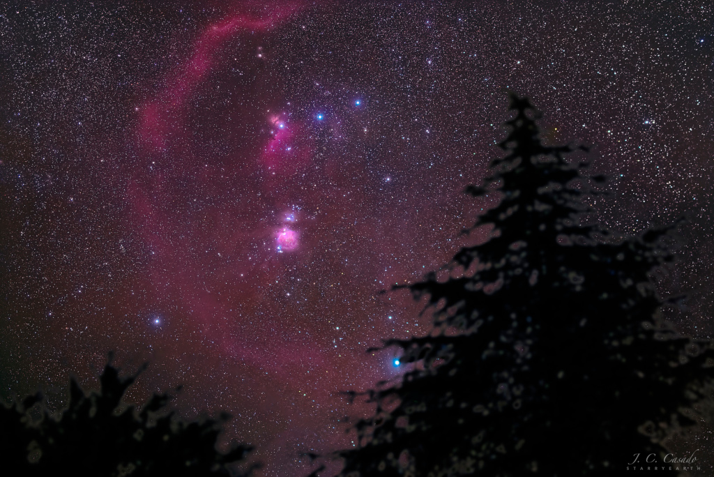待譯-APOD20220416-orionpines_1k.jpg