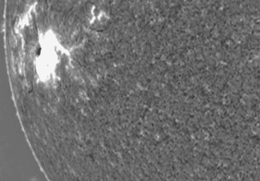 待譯-APOD20220522-SunTsunami_nso_900.gif