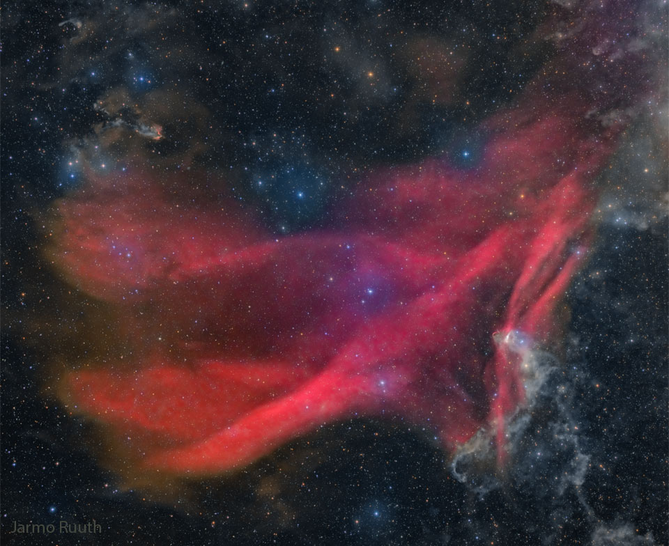 待譯-APOD20220914-GreatLacerta_Ruuth_960.jpg