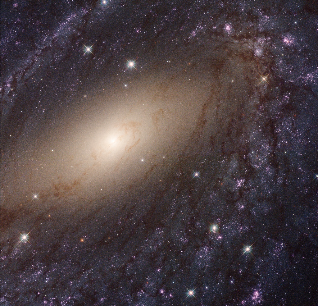李珺：待審核-APOD20221125-STSCI-H-p1827h-NGC6744_1024x925.jpg