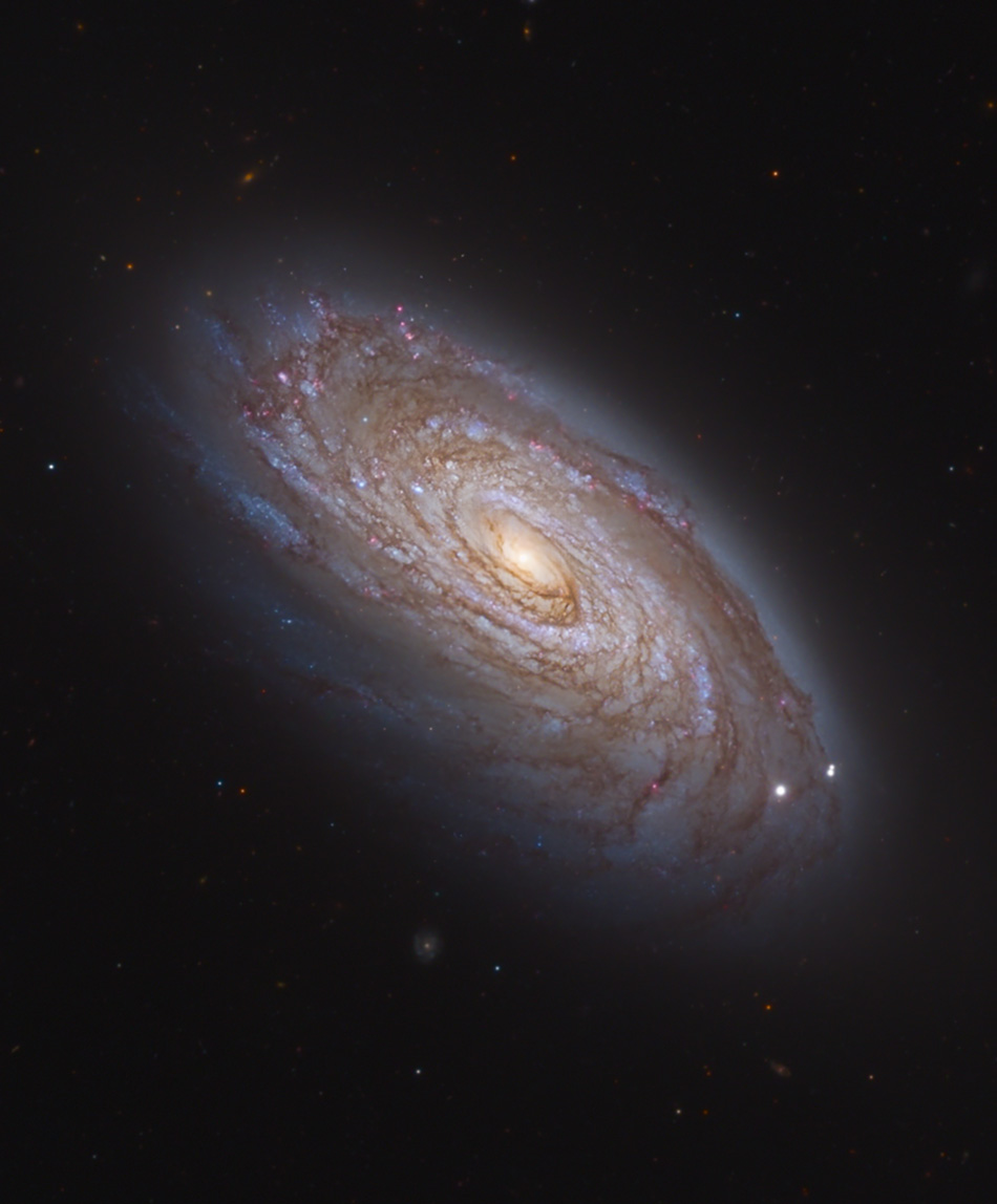 待譯-APOD20221228-M88_2022weebly.jpg
