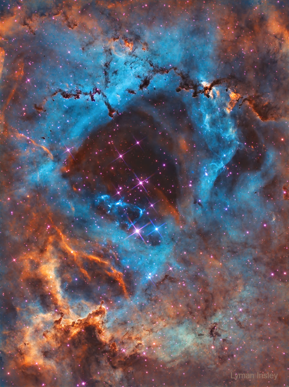 待譯-APOD20230206-Rosette_Insley_960.jpg