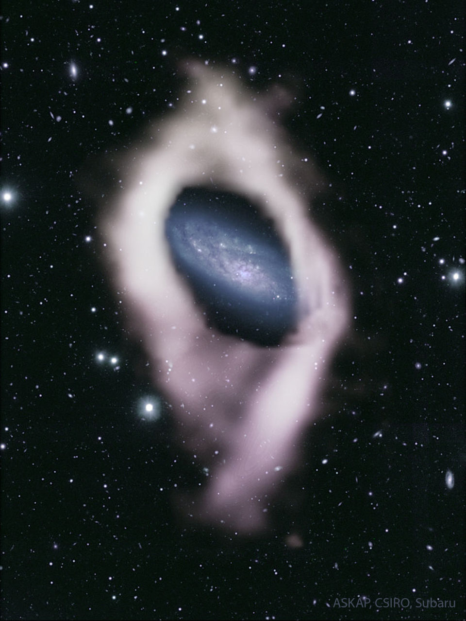 APOD20230913-NGC 4632：帶隱藏極環(huán)的星系(1).jpg