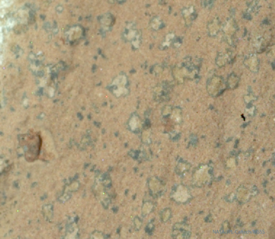 待譯-APOD20240731-LeopardSpots_Perseverance_960.jpg