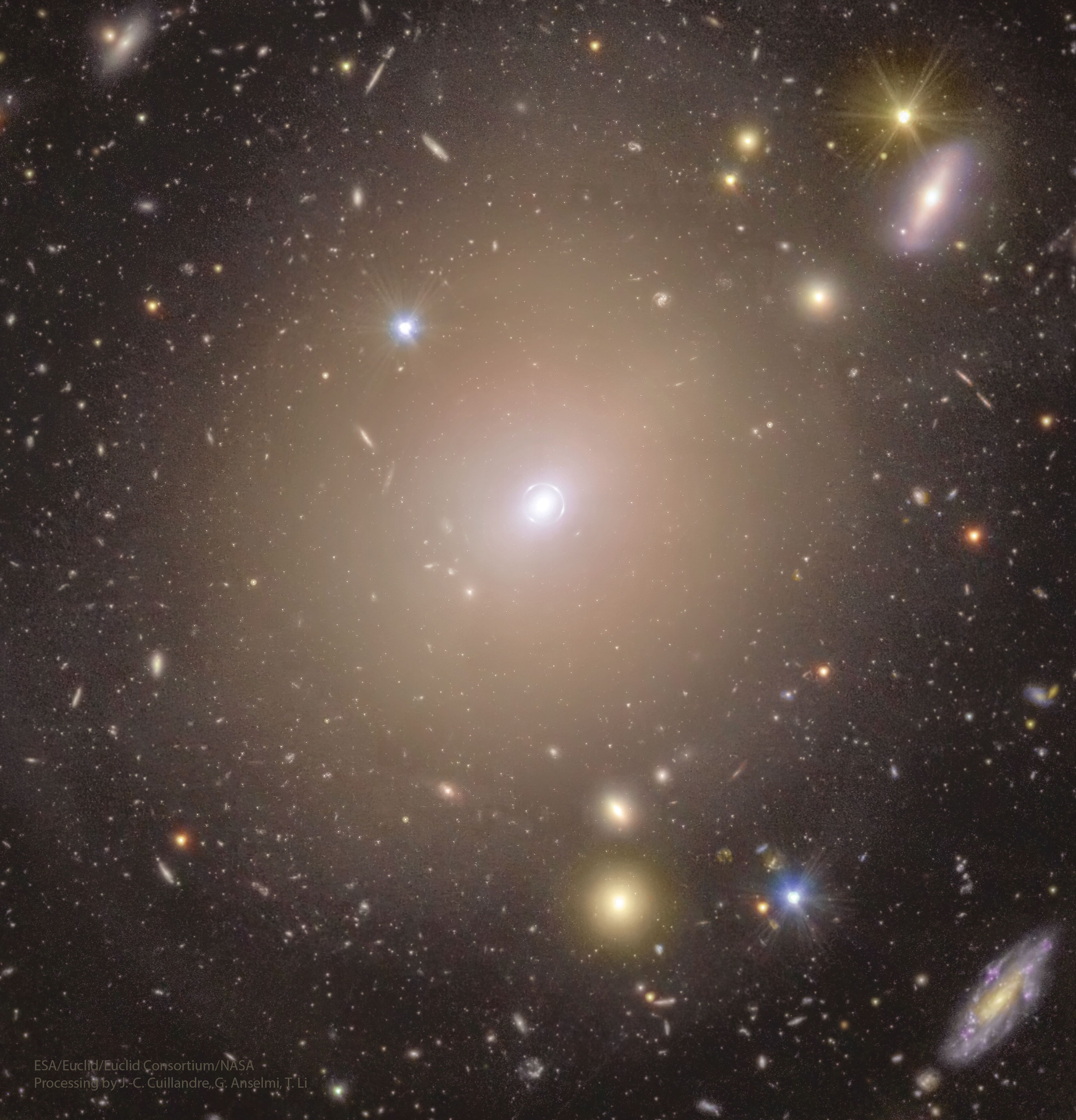 已審核-APOD20250226-ClusterRing_Euclid_2665.jpg