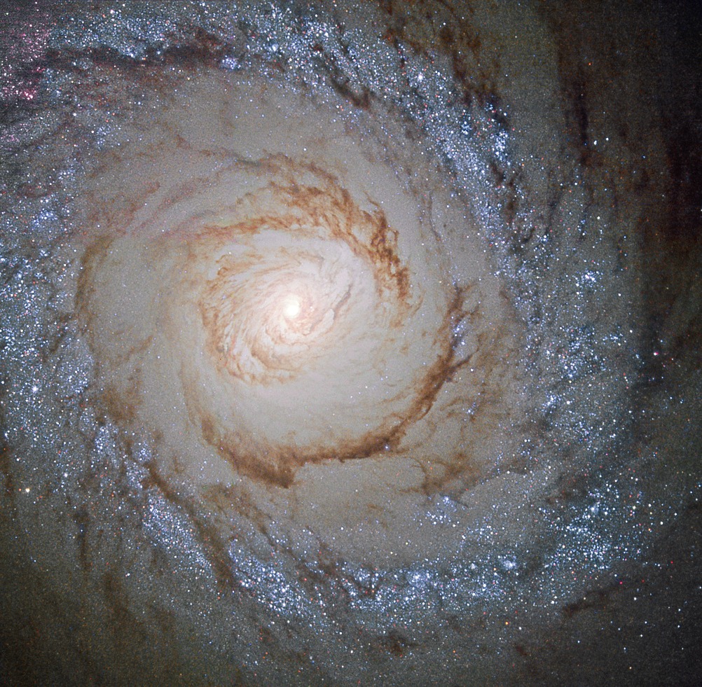 待譯-APOD20250306-M94_hst1542a.jpg